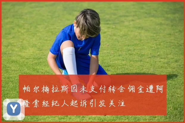 帕尔梅拉斯因未支付转会佣金遭阿隆索经纪人起诉引发关注